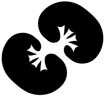 Device Device mark 3338517 Trademark