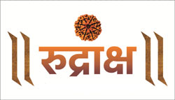 Rudraksha Device mark 3737753 Trademark