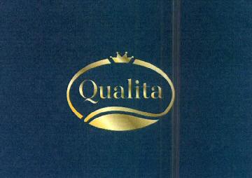 Qualita Device mark 3589841 Trademark