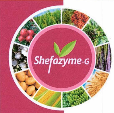 Shefazyme -g Device mark 3735565 Trademark