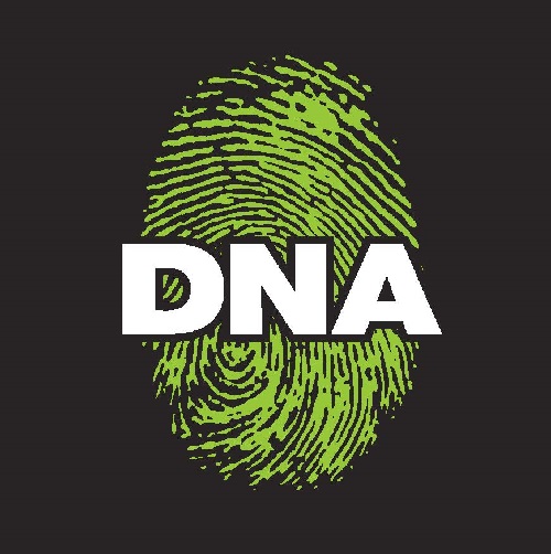 Dna Device mark 4203071 Trademark