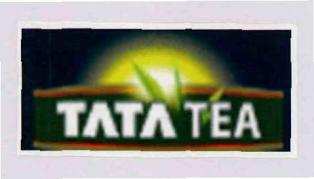 Tata Tea (label) Device mark 3330688 Trademark