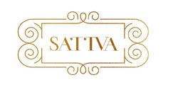 Sattva Device mark 3582083 Trademark