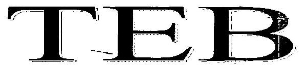 Teb Device mark 3255655 Trademark