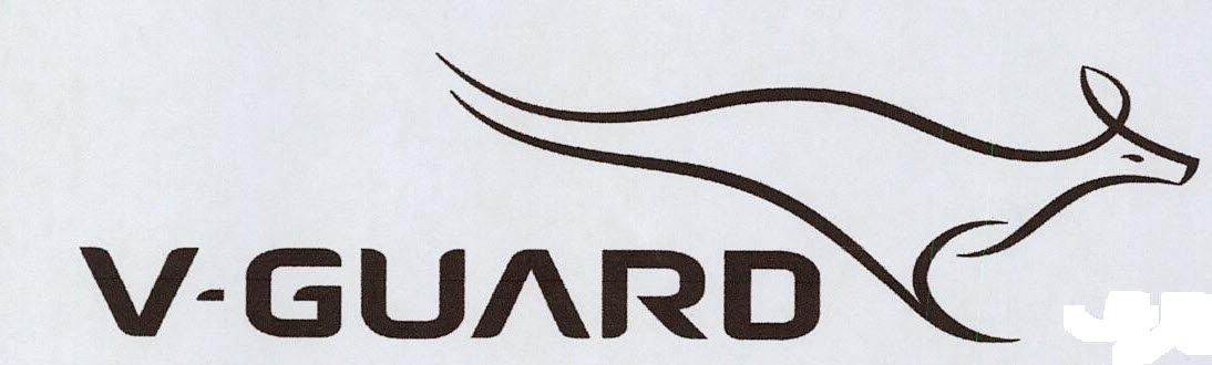 V-guard Device mark 3254005 Trademark