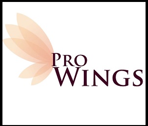 Pro Wings Device mark 4211043 Trademark