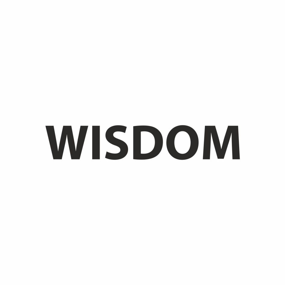 Wisdom Device mark 3731696 Trademark