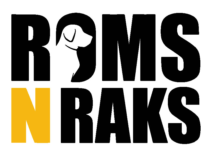 Roms N Raks Device mark 4224329 Trademark
