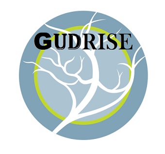 Gudrise Logo Device mark 4224372 Trademark