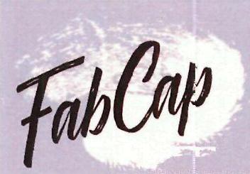 Fabcap Device mark 4231731 Trademark