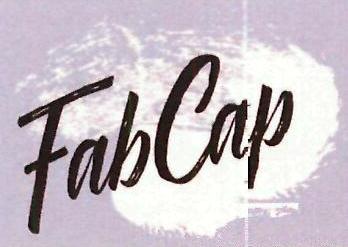 Fabcap Device mark 4231732 Trademark