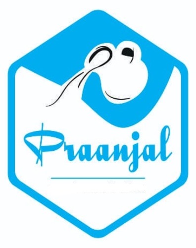 Praanjal Device mark 4242179 Trademark