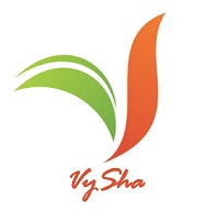 Vysha Device mark 4241306 Trademark