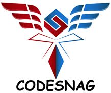 Device With Codesnag Device mark 4247444 Trademark