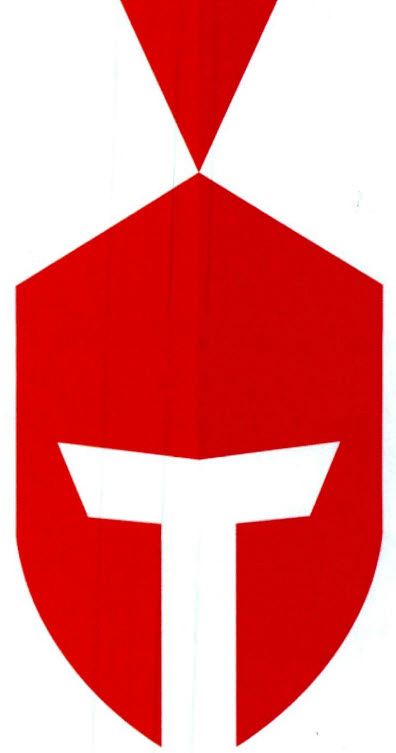 T Device mark 4253107 Trademark