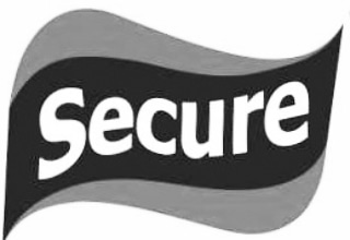 Secure Device mark 4253269 Trademark