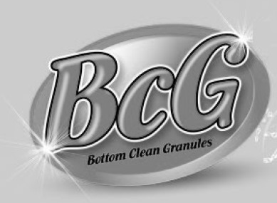 Bcg Device mark 4259021 Trademark