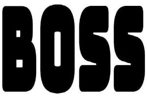 Boss Device mark 4270124 Trademark