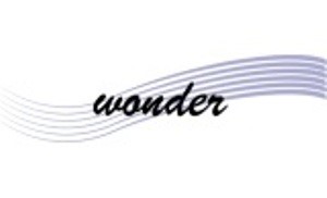Wonder Device mark 4270596 Trademark