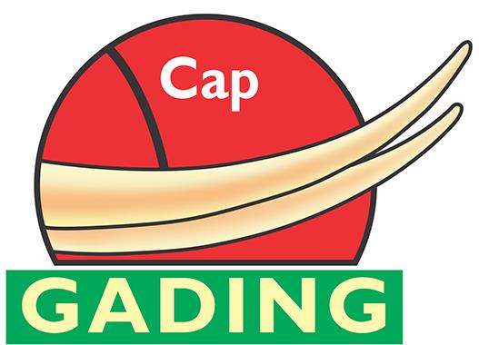 Cap Gading Device mark 4279358 Trademark