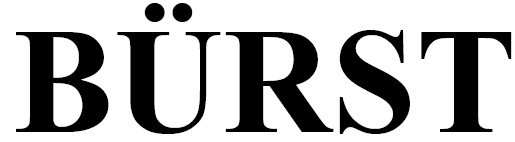 Burst Device mark 4309457 Trademark