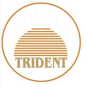 Trident Device mark 4311308 Trademark