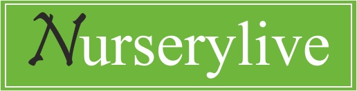 Nurserylive Device mark 4314032 Trademark