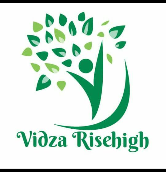 Vidza Risehigh Device mark 4316242 Trademark