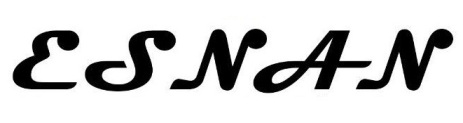 Esnan Device mark 4333920 Trademark