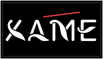 Xame Device mark 4334066 Trademark