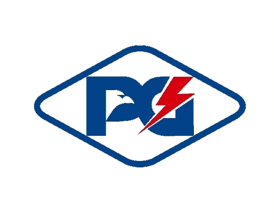 Pg Device mark 4335218 Trademark