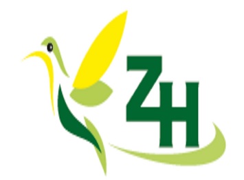 Zh With Device Device mark 4357313 Trademark