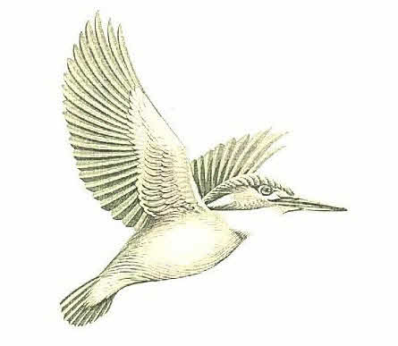 Device Of Kingfisher Device mark 2887352 Trademark