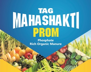 Tag Mahashakti Prom Device mark 4442900 Trademark
