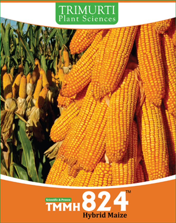 Tmmh 824 Device mark 4435125 Trademark